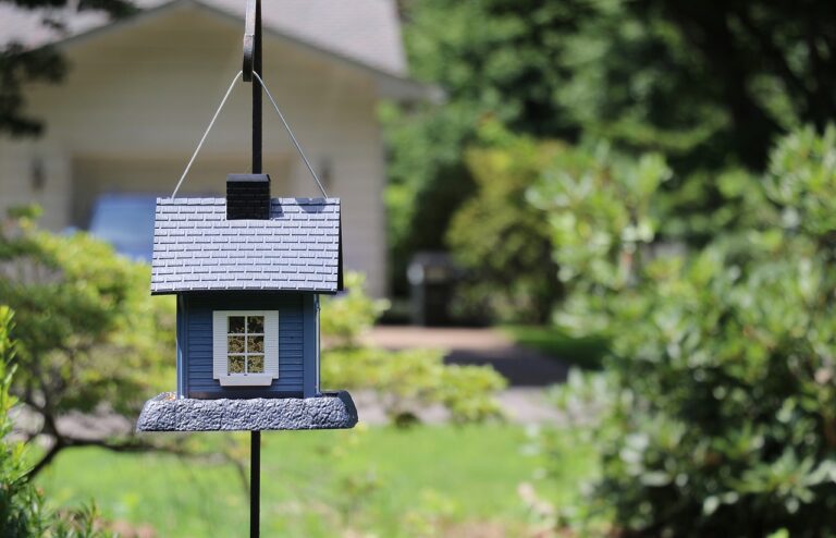 birdhouse, bird house, small